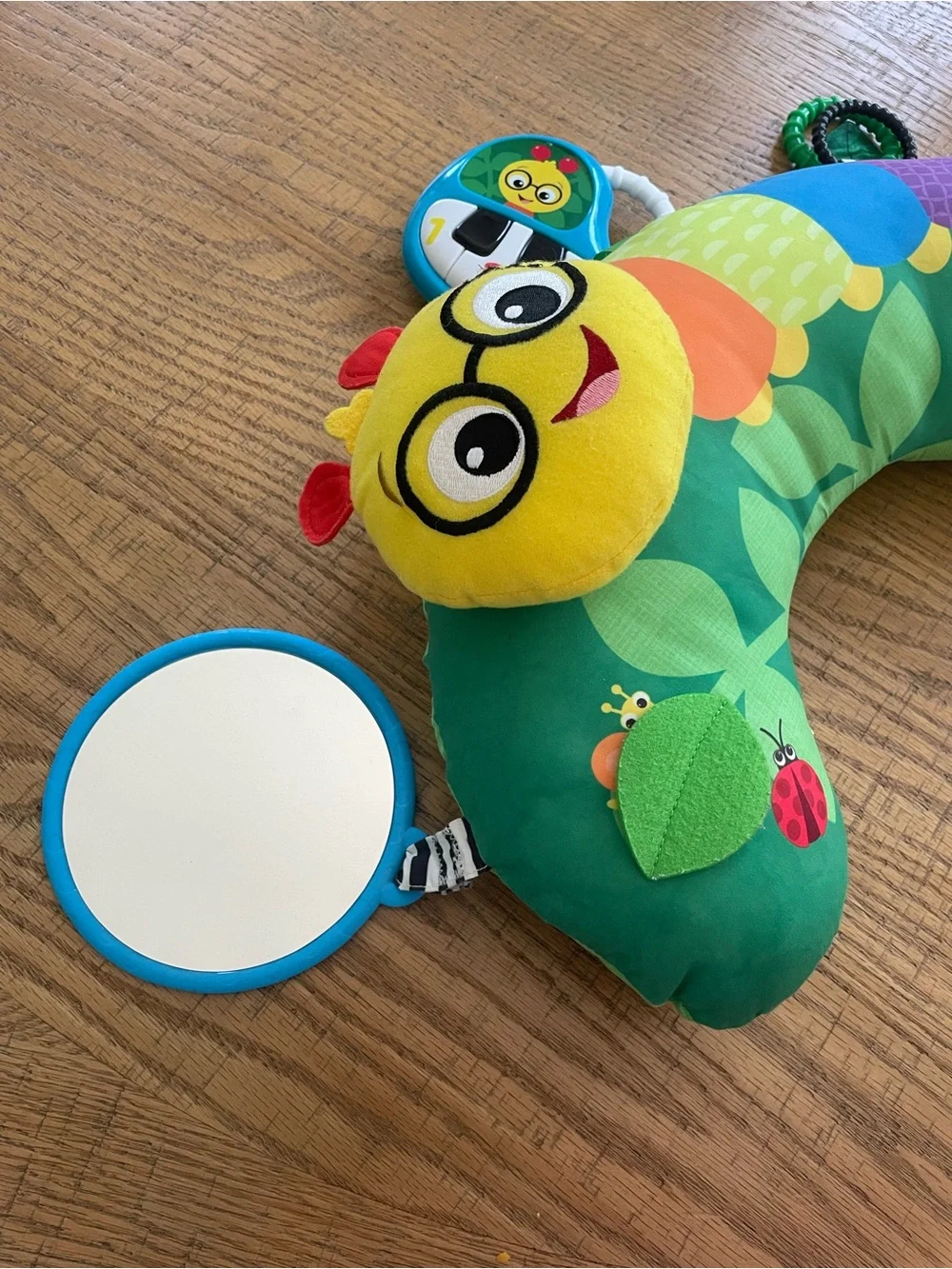 Baby Einstein support pillow